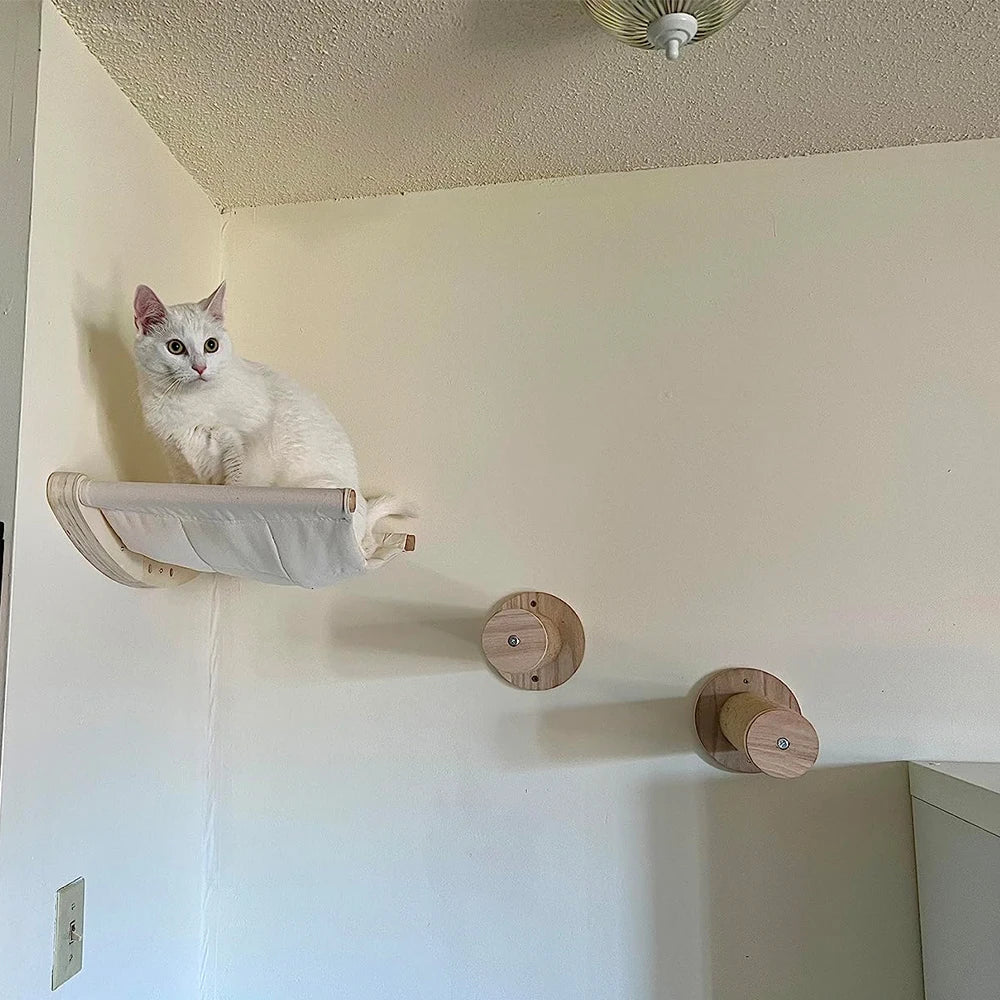 Wall Mounted Cat Climbing Shelves