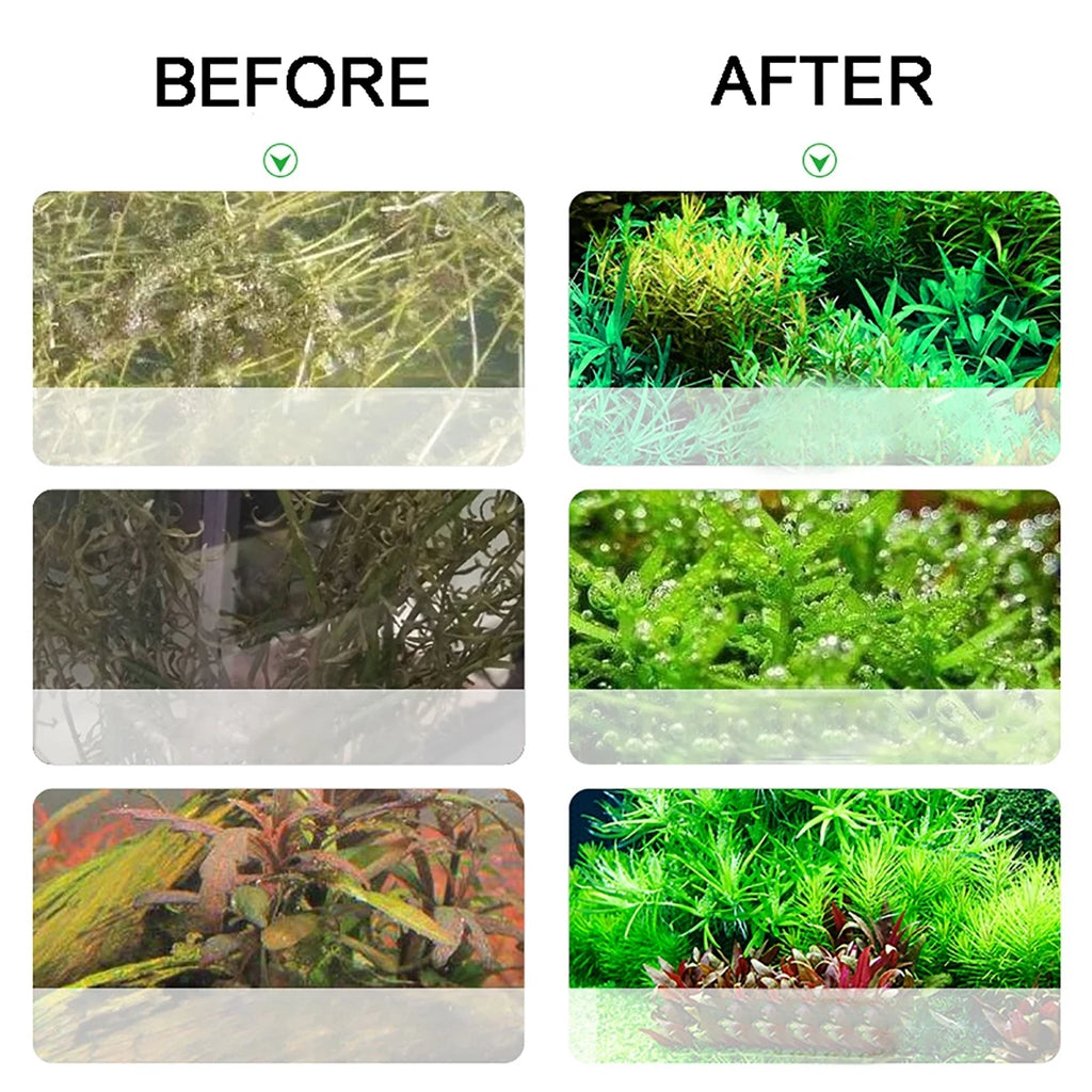 Aquarium CO2 Generator Kit