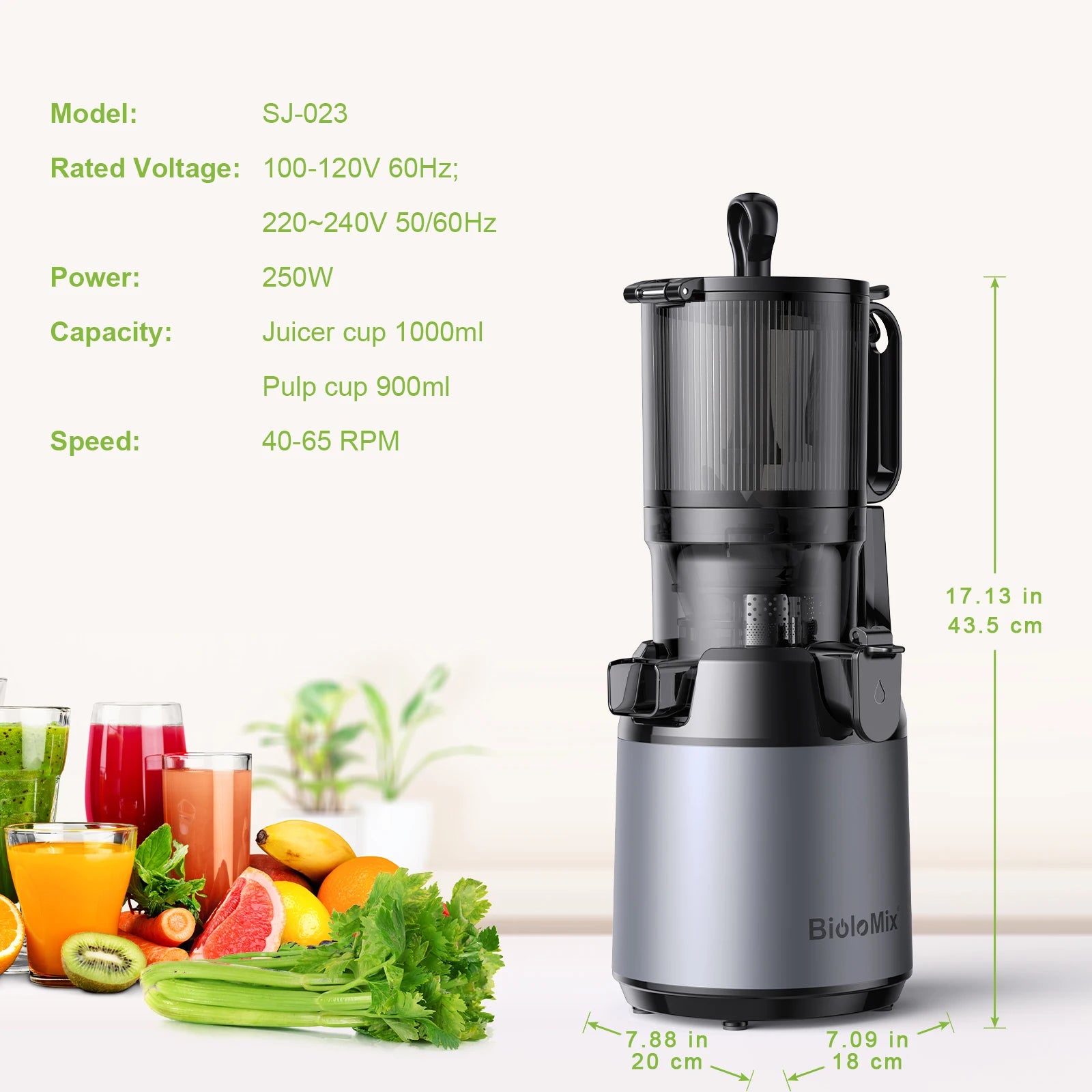 BioloMix Cold Press Juicer