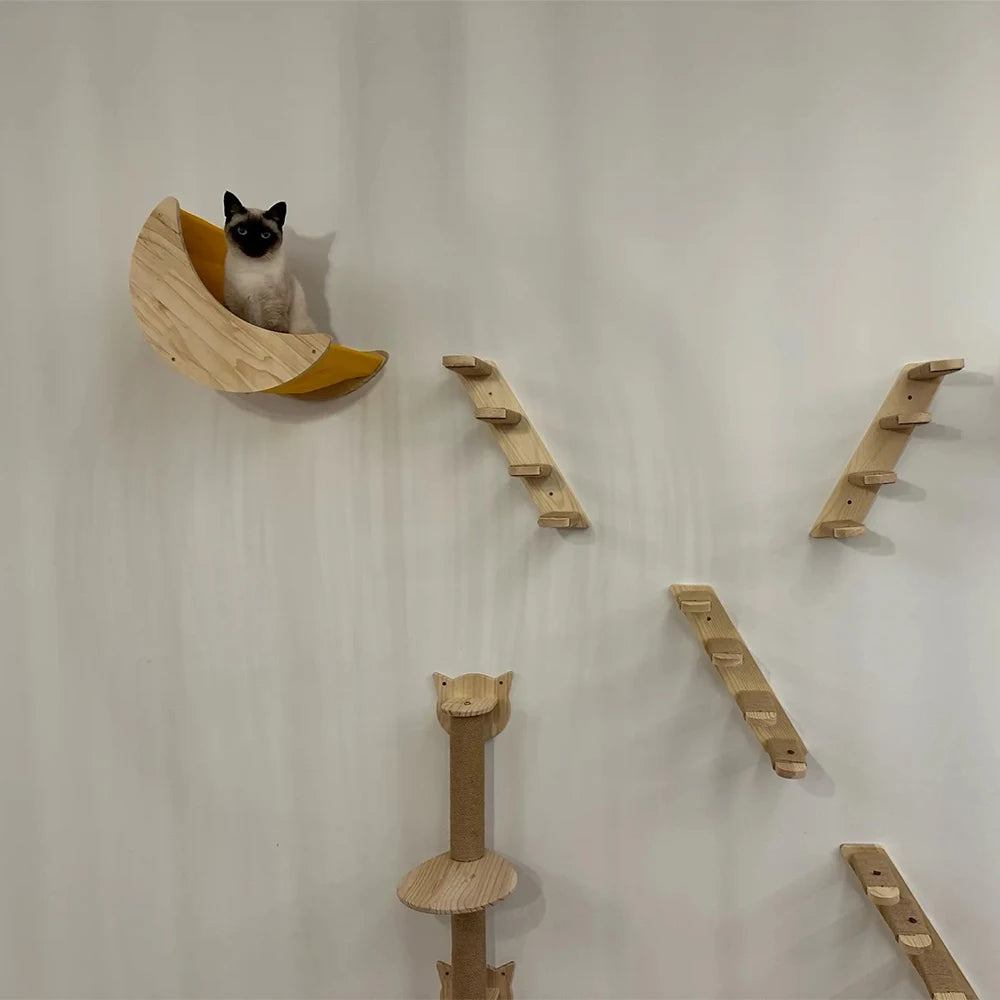 Wall Mounted Cat Climbing Shelves