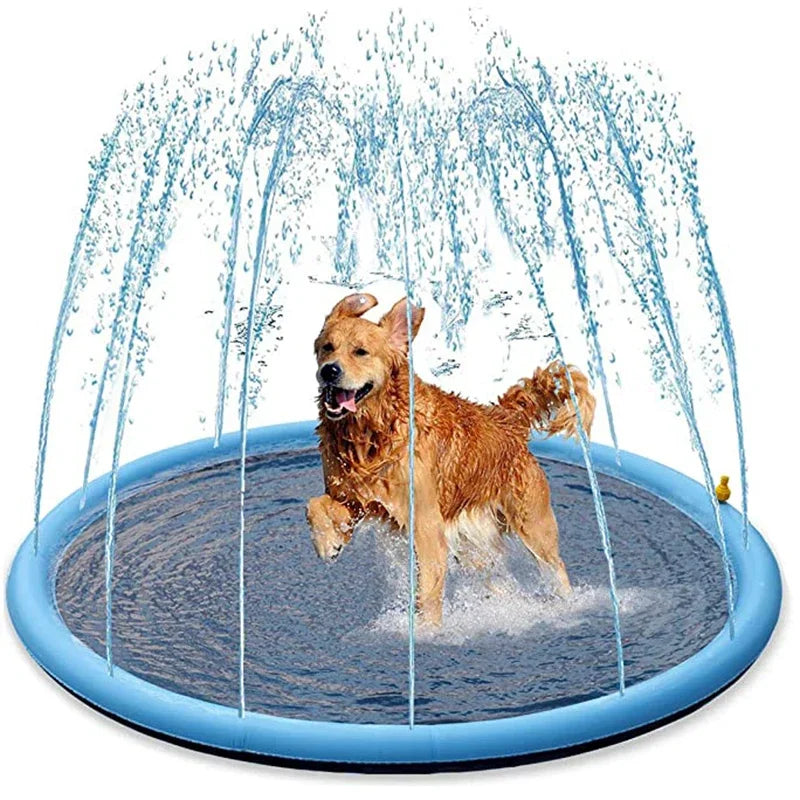 Pet Swimming Pool