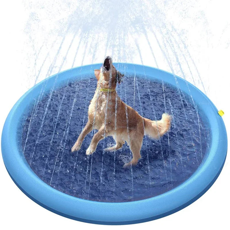 Pet Swimming Pool